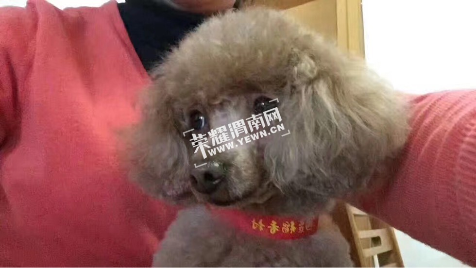 113714ldz5ba6ccvccnc0b.jpg