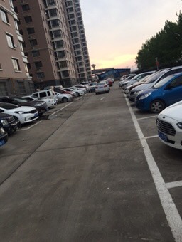 065628x9iu7i7jg5kfyini.jpg