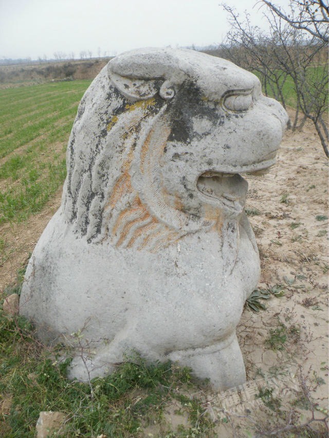195411ysmsbk7nkm5588ku.jpg