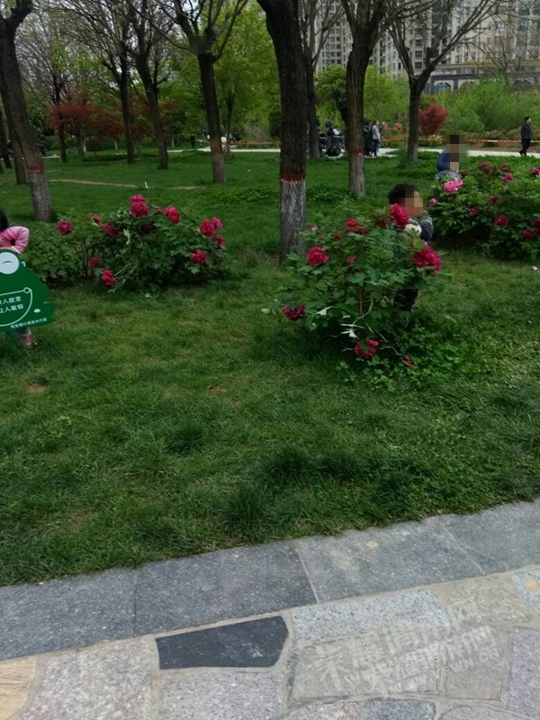 091022uwswwddlwvrzvdww.jpg