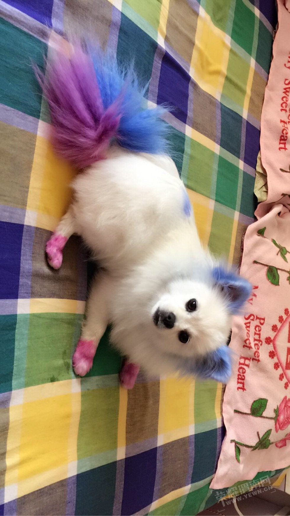 160230h7ksx3s9jrskpgfr.jpg