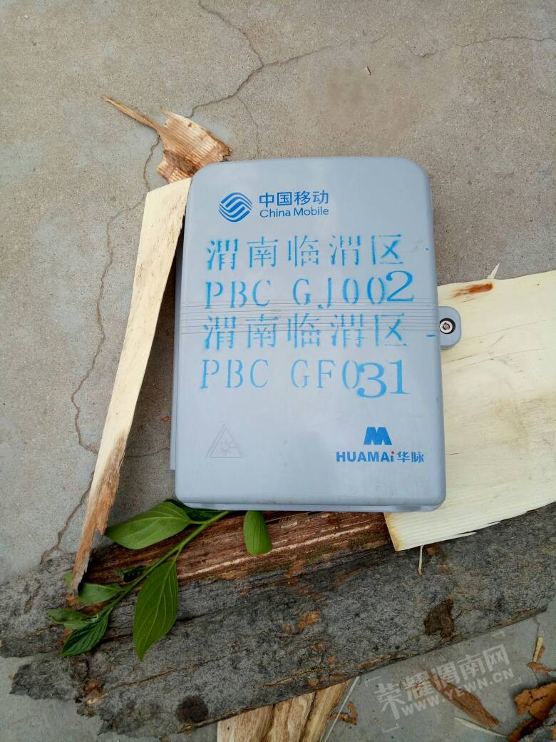131558ejcp8fzlqq8sjnm8.jpg