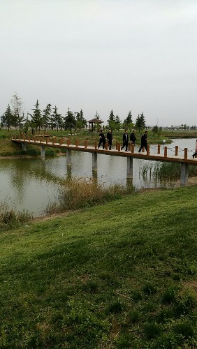 wx_camera_1492654904136.jpg