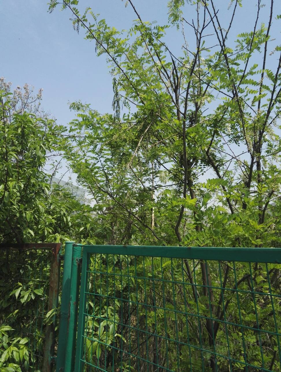 140309co11pel61oqfjvlb.jpg