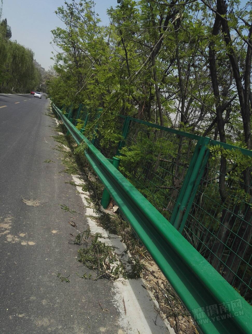 140331mojoffaorqayqbrm.jpg