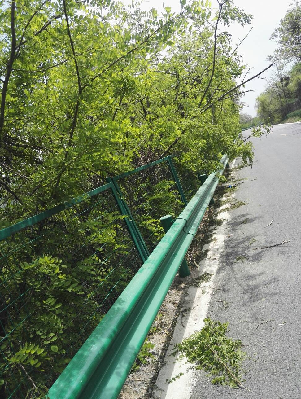 140338qel9zewxj90vrrep.jpg