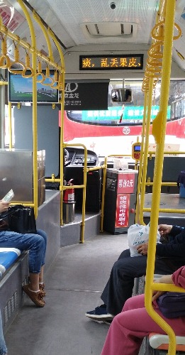 IMG_20170502_112550.jpg