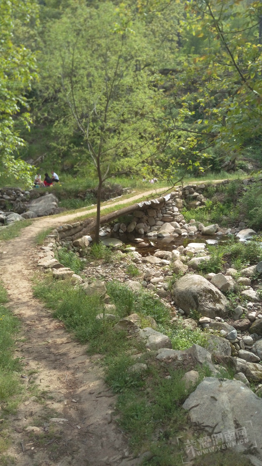 IMAG0446.jpg