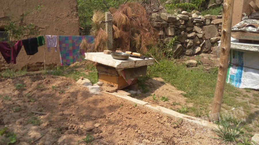 IMAG0442.jpg