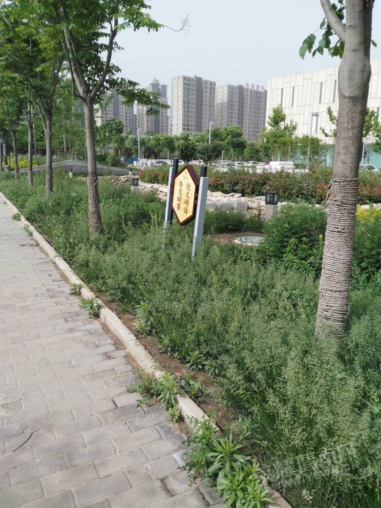 093912q7uxxrxedx7zklfi.jpg