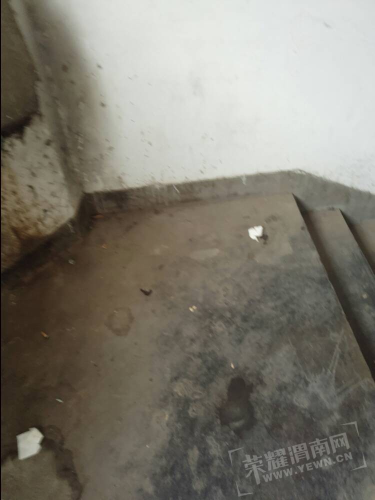083512mxdsbqvdy4fqq6yq.jpg