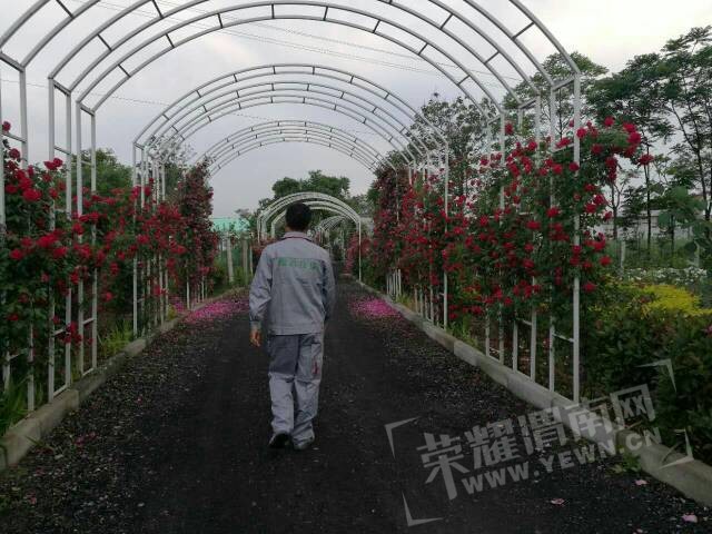 085244an7cr662t2er822r.jpg