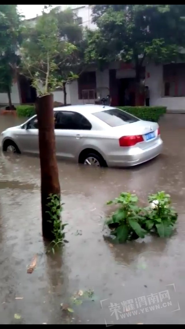 145904qztv4qjzru8iukck.jpg