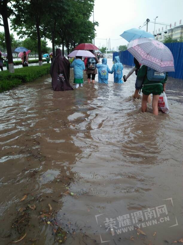 163703kikn73wagiaebakh.jpg