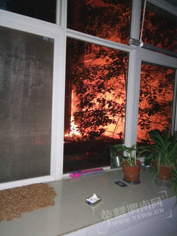 024350izk2amyyloq5fkdd.jpg