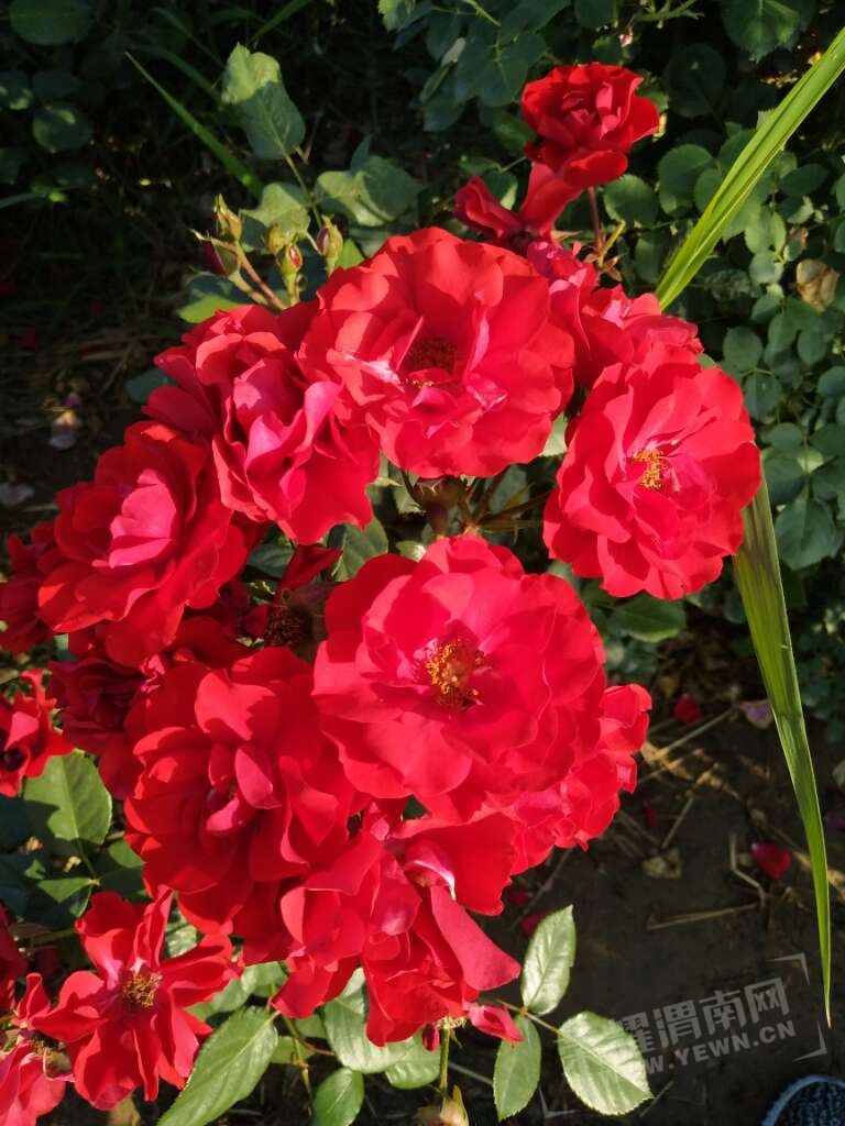 20170525_191087_1495716971751.jpg