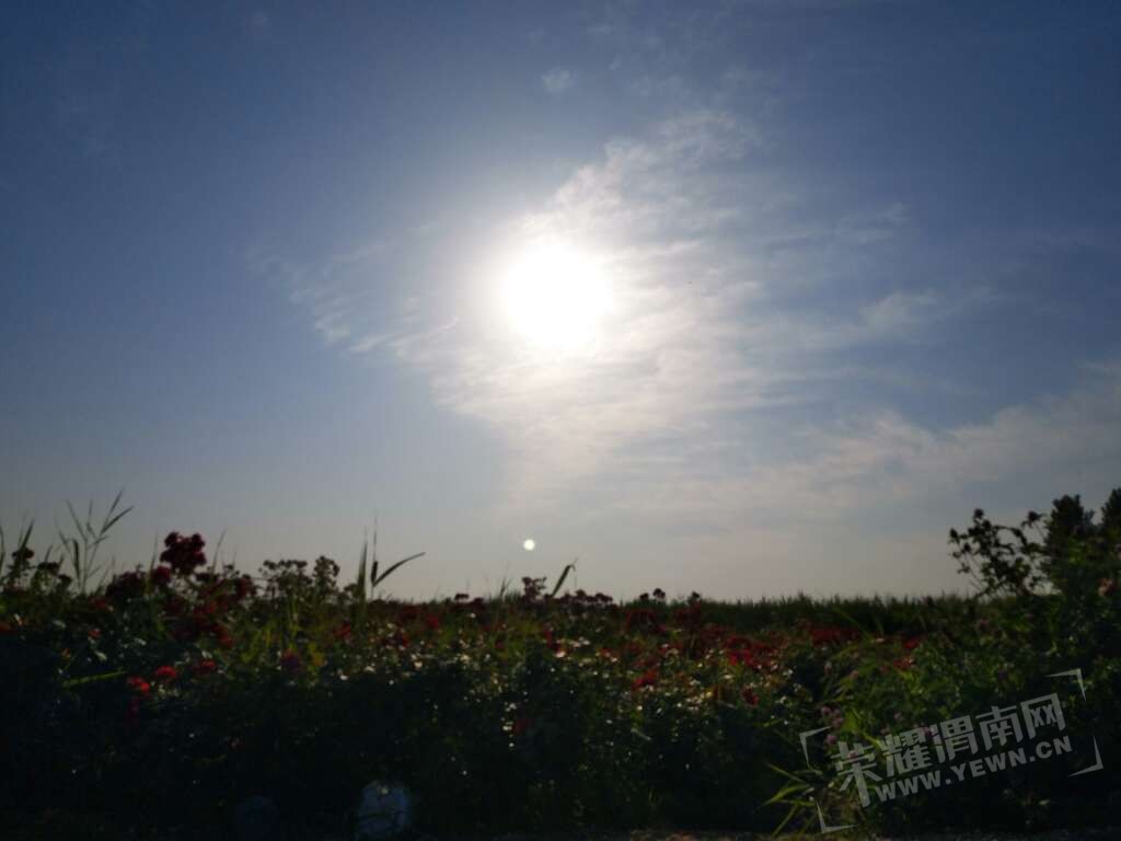 20170525_191087_1495716973416.jpg