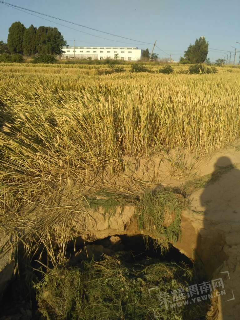 20170526_191093_1495730488721.jpg