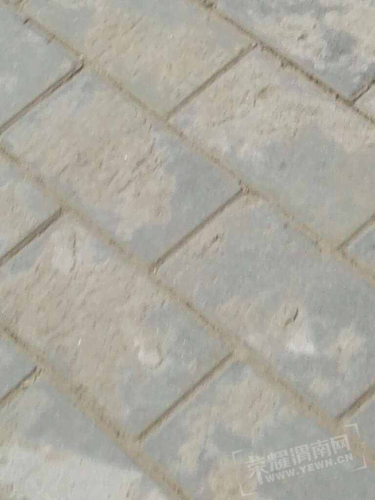 20170531_65529_1496219415337.jpg
