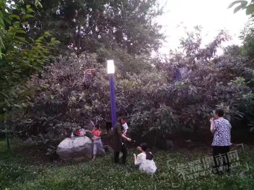 1.jpg