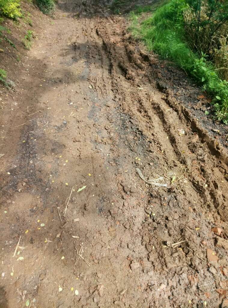 20170610_160106_1497071531978.jpg