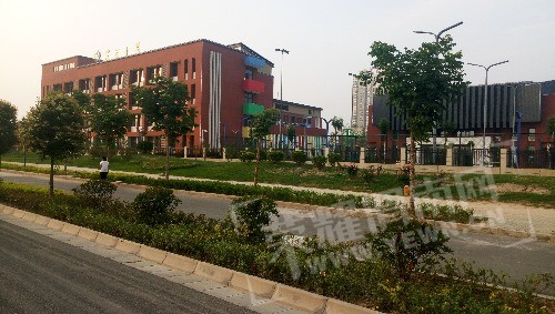 IMG_20170617_062334.jpg