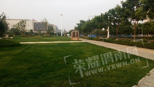 IMG_20170617_063324.jpg