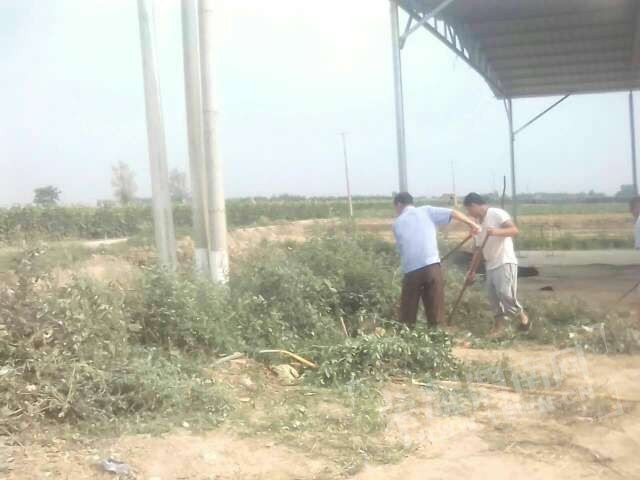20170621_10126_1498009222993.jpg