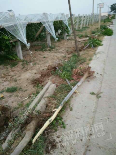 20170702_10126_1498950126326.jpg