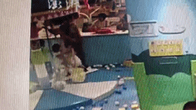 ����С������.gif