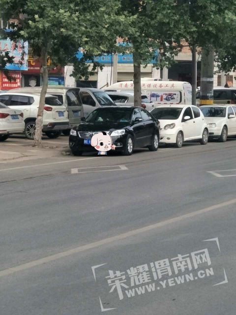 084832hd3sp3mhldvsvjgm.jpg