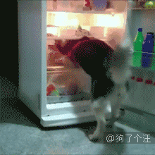 3.gif