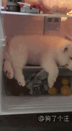 1.gif