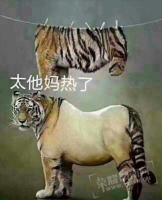 201707131596251499935915398505.jpg