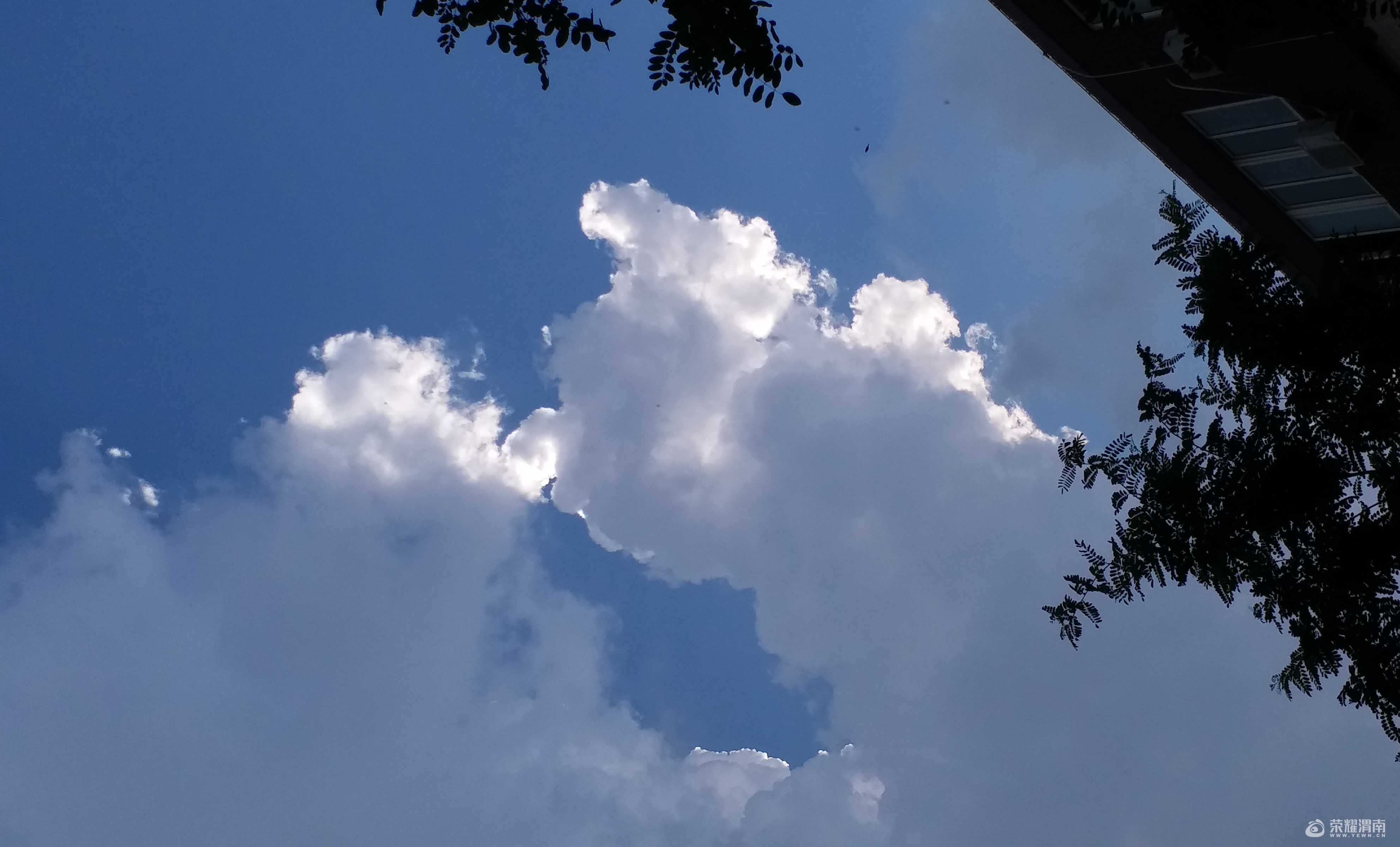 20170713_165740.jpg