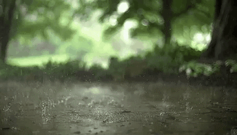 20170716_100729_1500143069900.gif