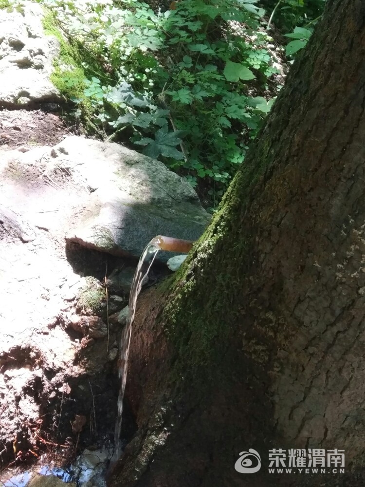 20170804_22583_1501814475008.jpg