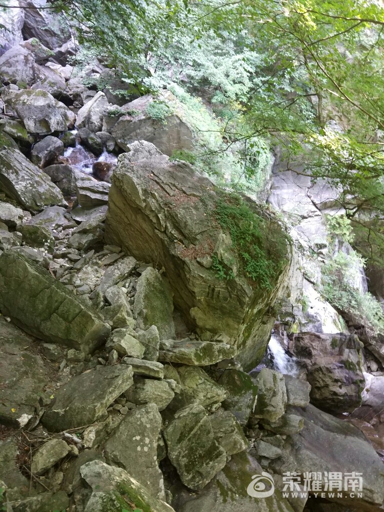 20170804_22583_1501814475855.jpg