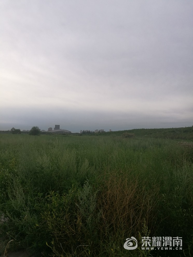 20170804_41267_1501851295388.jpg