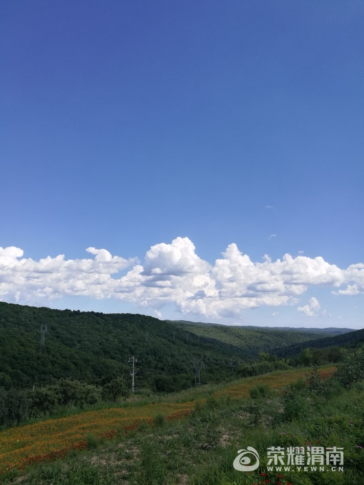20170811_41267_1502437342596.jpg