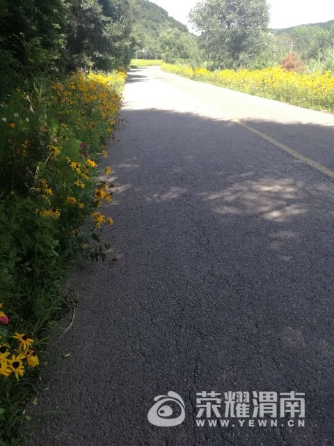 20170811_41267_1502450688852.jpg