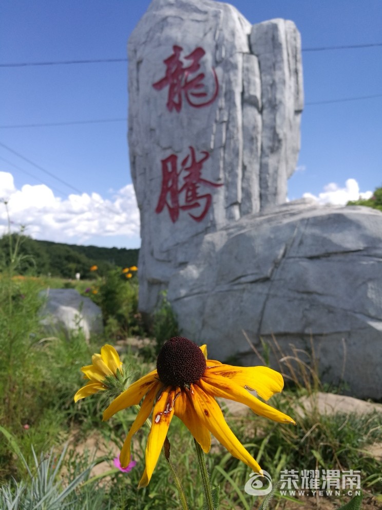 20170811_41267_1502450688550.jpg