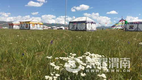 20170813_143432.jpg