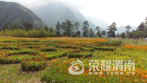 20170815_104628.jpg