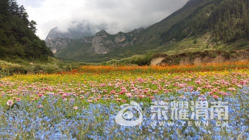 20170815_104638.jpg