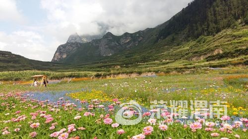 20170815_105237.jpg