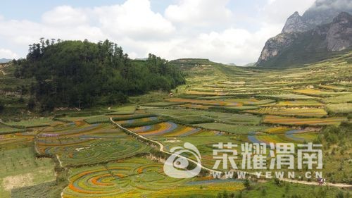 20170815_105713.jpg