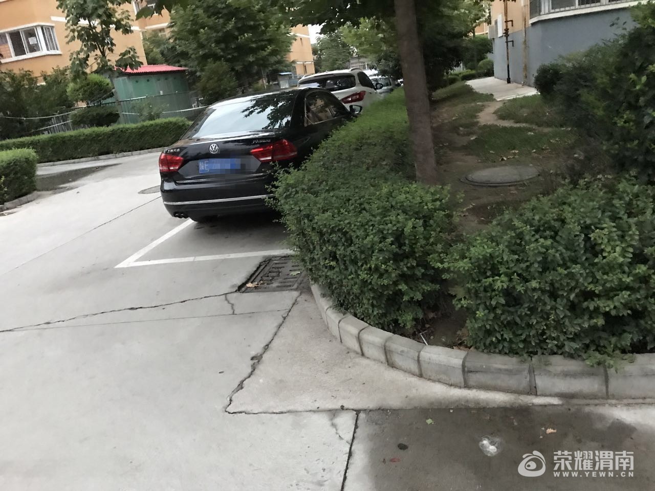 1199755717_����.jpg