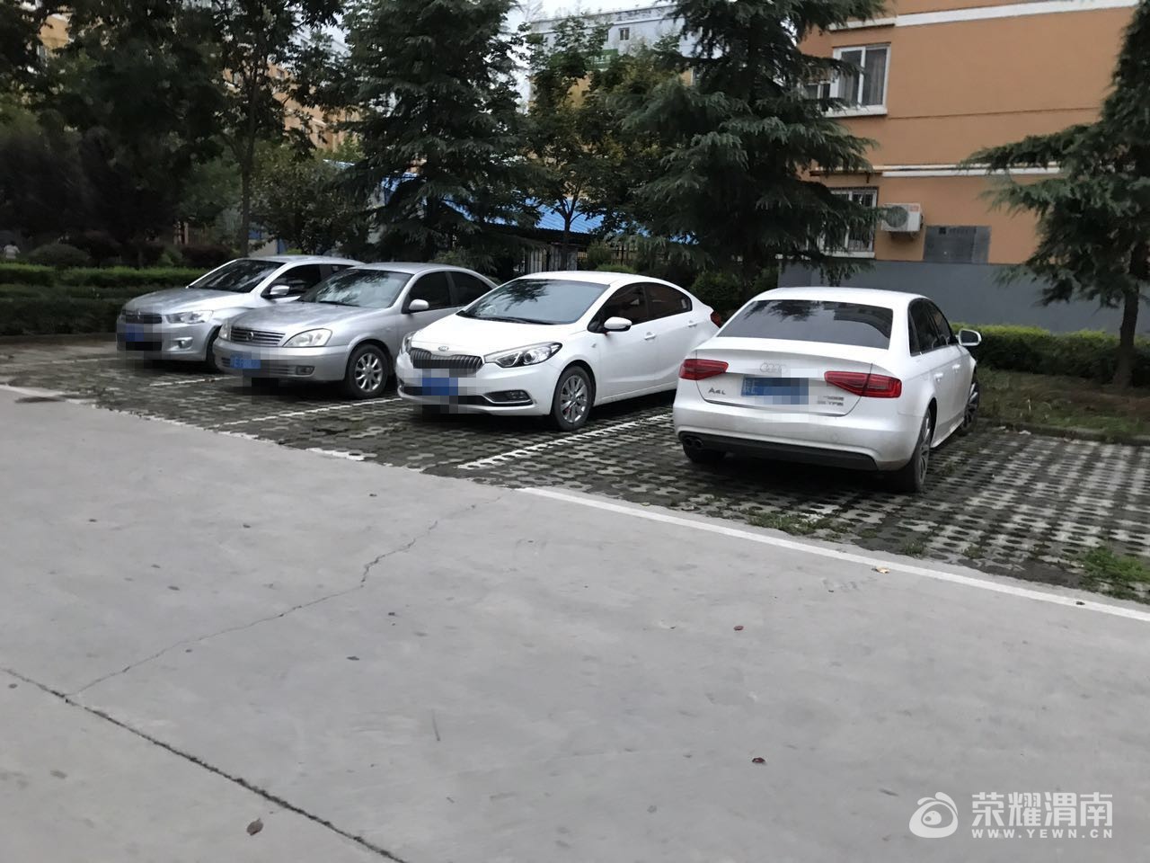 1885591694_����.jpg