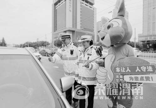 691882_500x500.jpg
